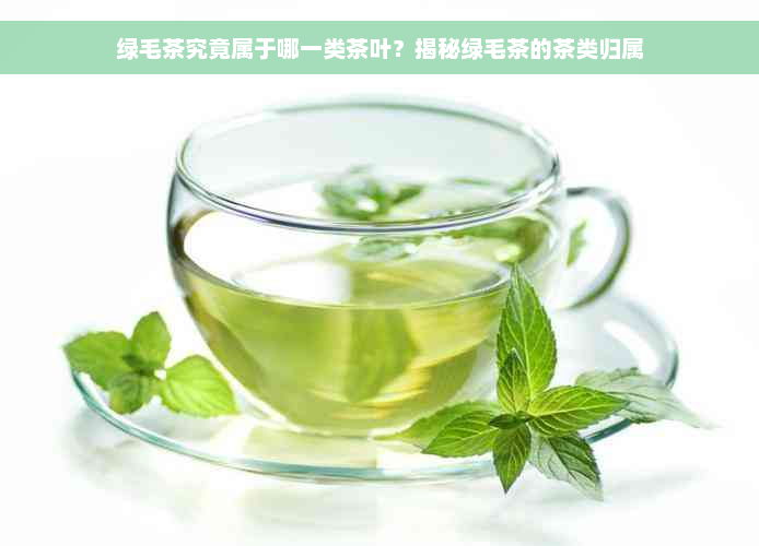绿毛茶究竟属于哪一类茶叶？揭秘绿毛茶的茶类归属