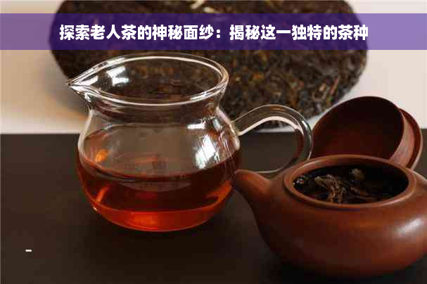 探索老人茶的神秘面纱：揭秘这一独特的茶种