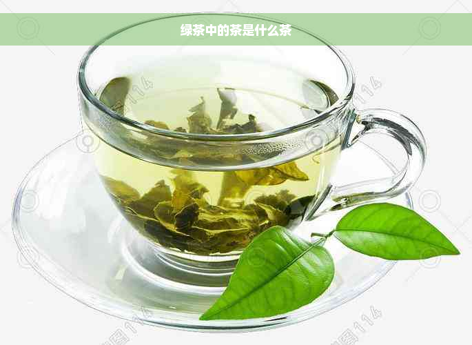 绿茶中的茶是什么茶