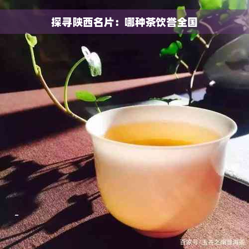 探寻陕西名片：哪种茶饮誉全国