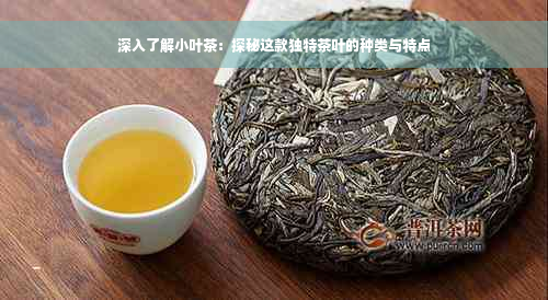 深入了解小叶茶：探秘这款独特茶叶的种类与特点