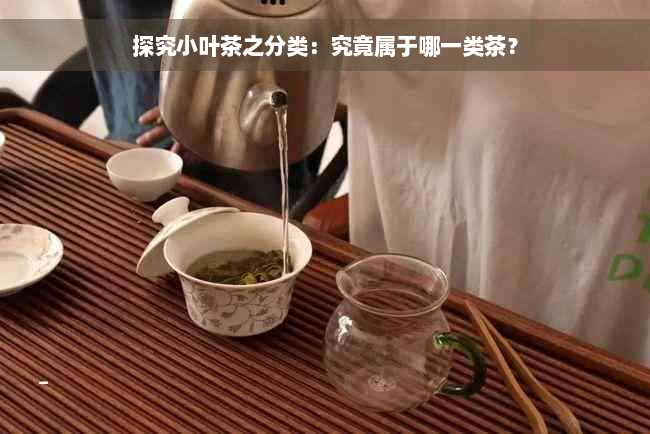 探究小叶茶之分类：究竟属于哪一类茶？