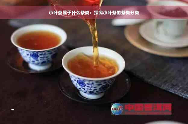 小叶茶属于什么茶类：探究小叶茶的茶类分类