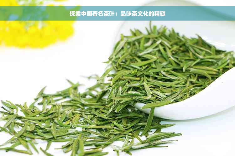 探索中国著名茶叶：品味茶文化的精髓