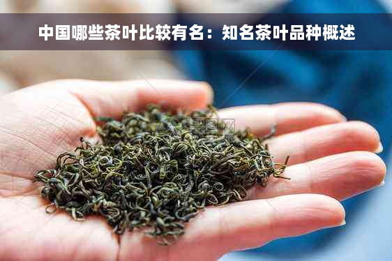 中国哪些茶叶比较有名：知名茶叶品种概述