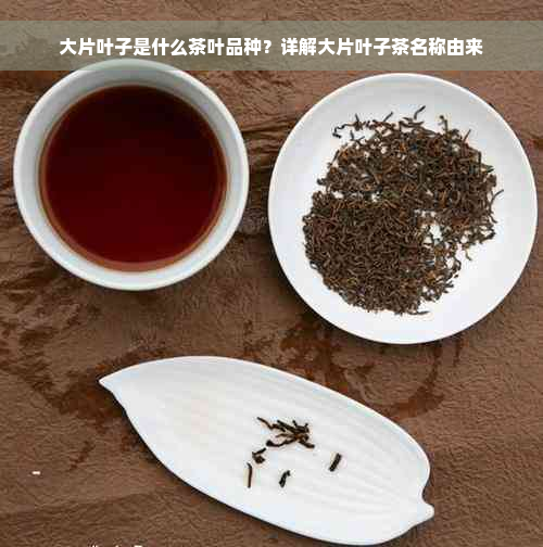 大片叶子是什么茶叶品种？详解大片叶子茶名称由来