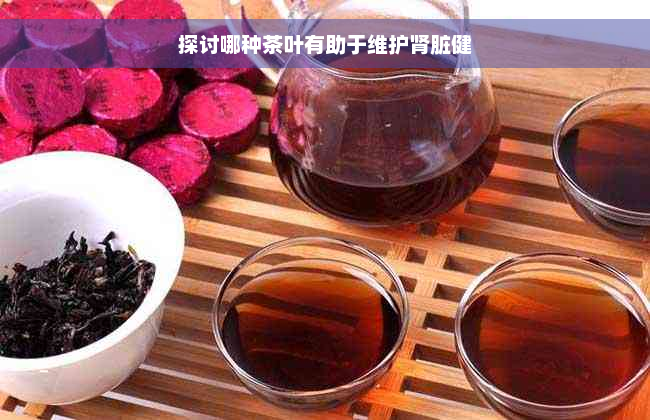 探讨哪种茶叶有助于维护肾脏健