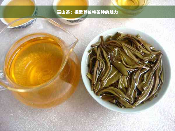 高山茶：探索其独特茶种的魅力
