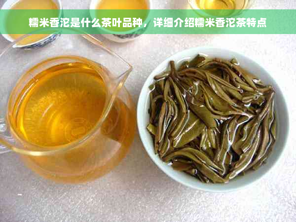 糯米香沱是什么茶叶品种，详细介绍糯米香沱茶特点