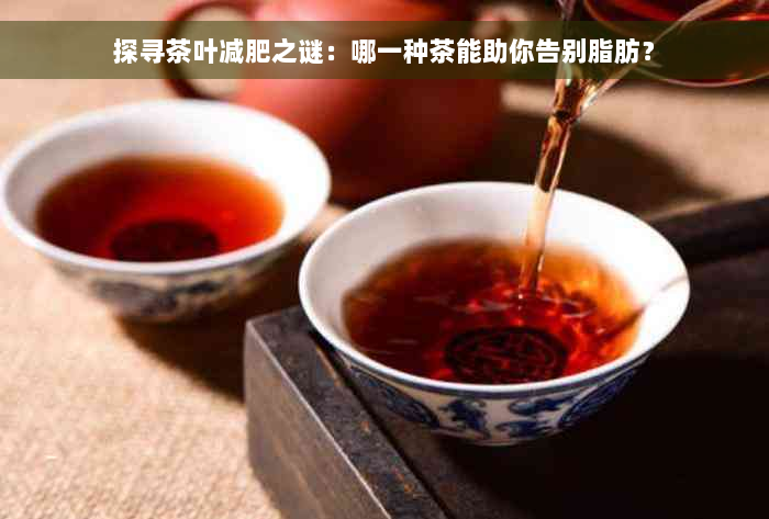探寻茶叶减肥之谜：哪一种茶能助你告别脂肪？