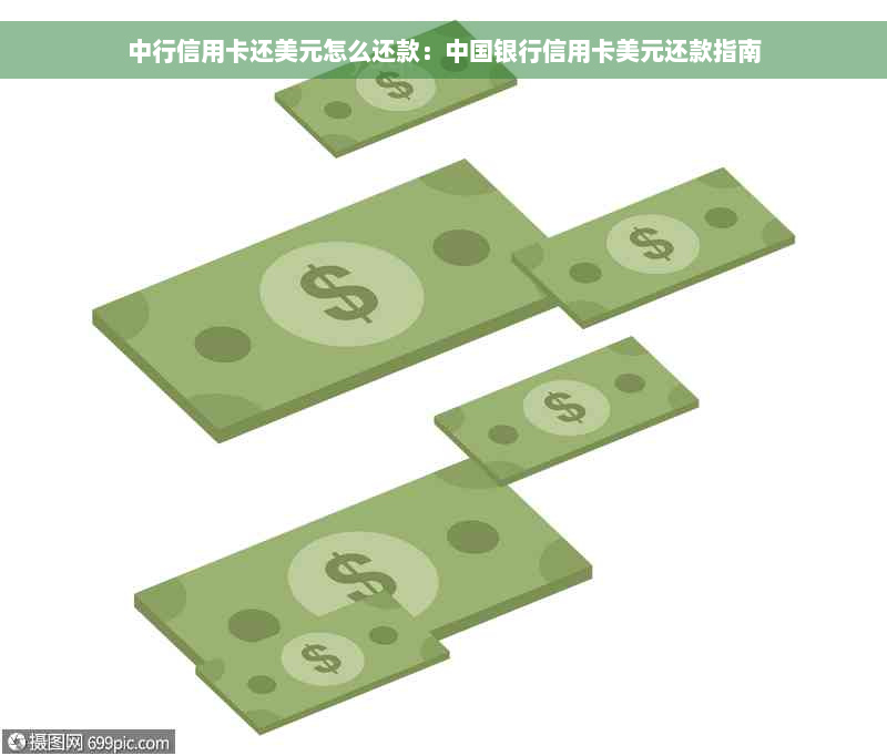 中行信用卡还美元怎么还款：中国银行信用卡美元还款指南