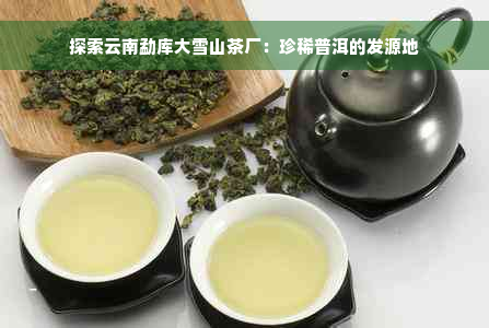 探索云南勐库大雪山茶厂：珍稀普洱的发源地