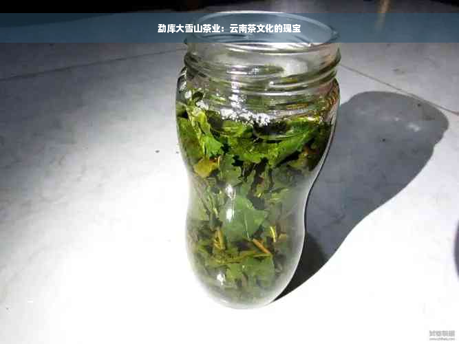 勐库大雪山茶业：云南茶文化的瑰宝