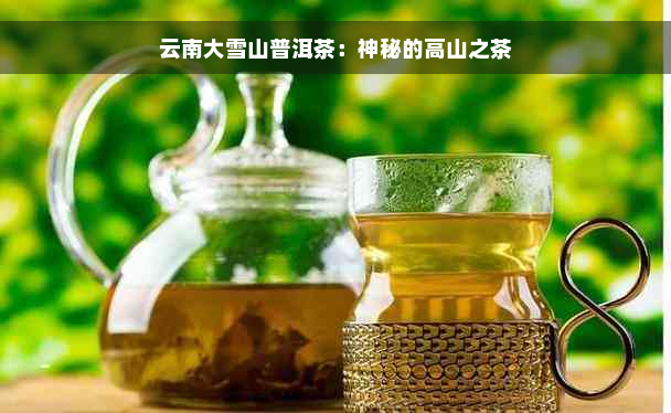 云南大雪山普洱茶：神秘的高山之茶