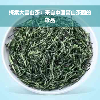 探索大雪山茶：来自中国高山茶园的珍品