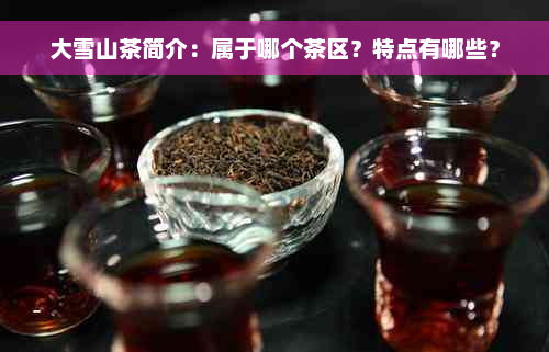 大雪山茶简介：属于哪个茶区？特点有哪些？