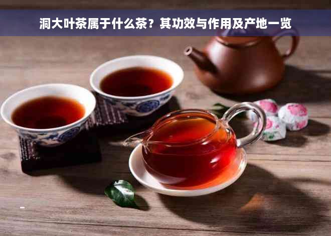 洞大叶茶属于什么茶？其功效与作用及产地一览