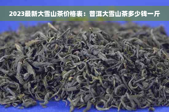 2023最新大雪山茶价格表：普洱大雪山茶多少钱一斤