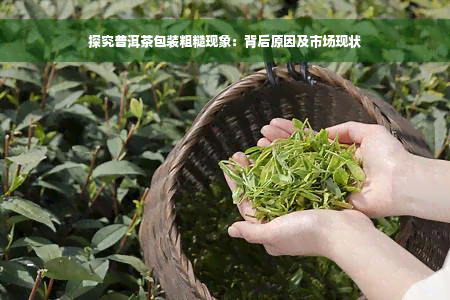 探究普洱茶包装粗糙现象：背后原因及市场现状