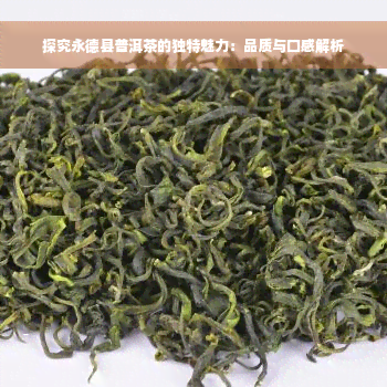 探究永德县普洱茶的独特魅力：品质与口感解析