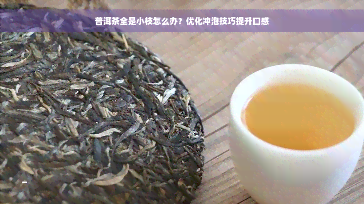 普洱茶全是小枝怎么办？优化冲泡技巧提升口感