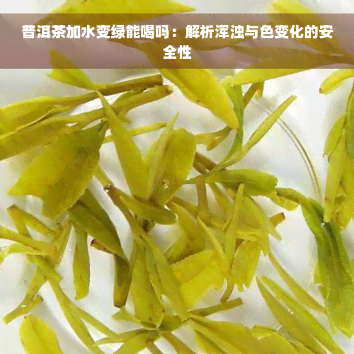 普洱茶加水变绿能喝吗：解析浑浊与色变化的安全性