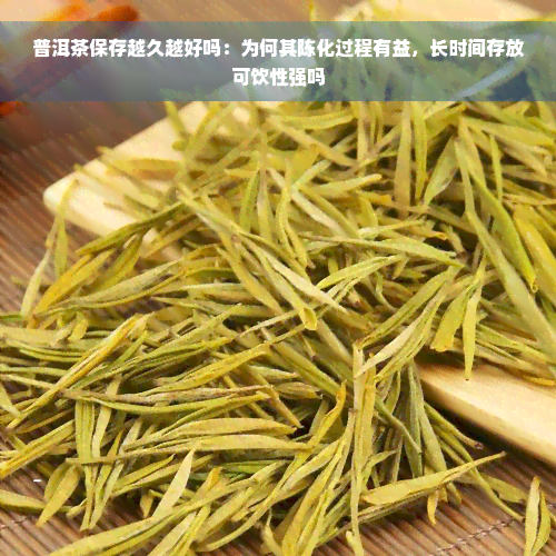 普洱茶保存越久越好吗：为何其陈化过程有益，长时间存放可饮性强吗