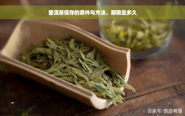 普洱茶保存的条件与方法，期限是多久