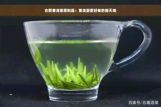 合肥普洱茶原料场：普洱茶爱好者的新天地