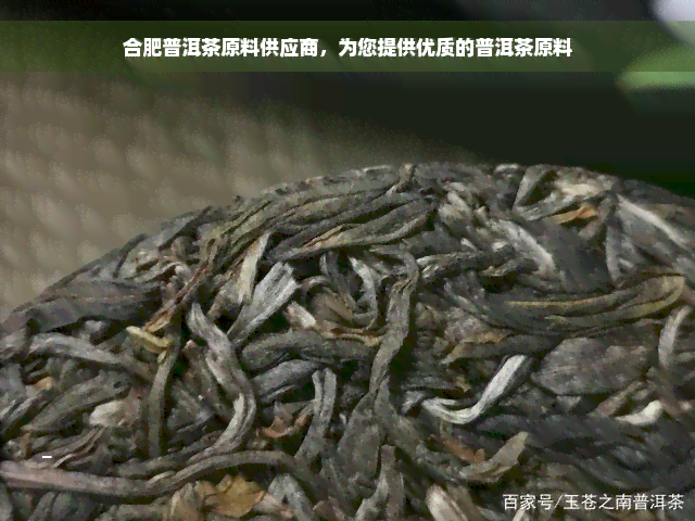 合肥普洱茶原料供应商，为您提供优质的普洱茶原料