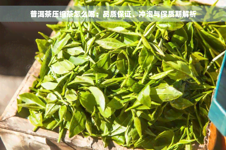 普洱茶压缩茶怎么喝：品质保证、冲泡与保质期解析