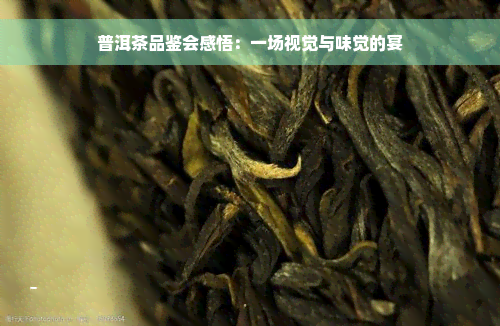 普洱茶品鉴会感悟：一场视觉与味觉的宴