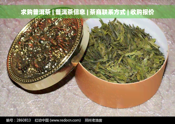 求购普洱茶 | 普洱茶信息 | 茶商联系方式 | 收购报价