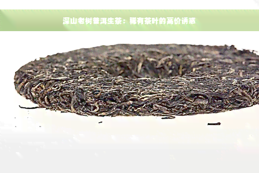 深山老树普洱生茶：稀有茶叶的高价诱惑