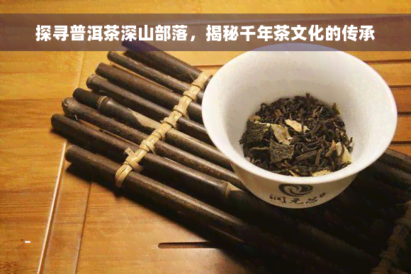 探寻普洱茶深山部落，揭秘千年茶文化的传承