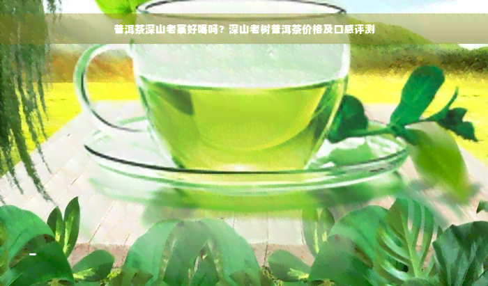 普洱茶深山老寨好喝吗？深山老树普洱茶价格及口感评测