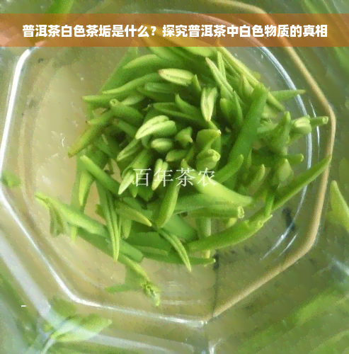 普洱茶白色茶垢是什么？探究普洱茶中白色物质的真相