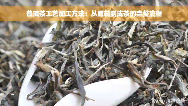 普洱茶工艺加工方法：从原料到成茶的完整流程