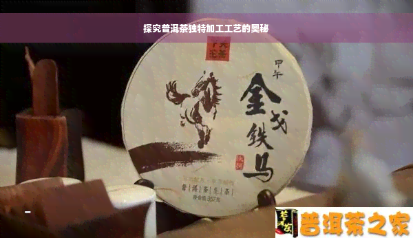 探究普洱茶独特加工工艺的奥秘