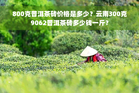 800克普洱茶砖价格是多少？云南300克9062普洱茶砖多少钱一斤？