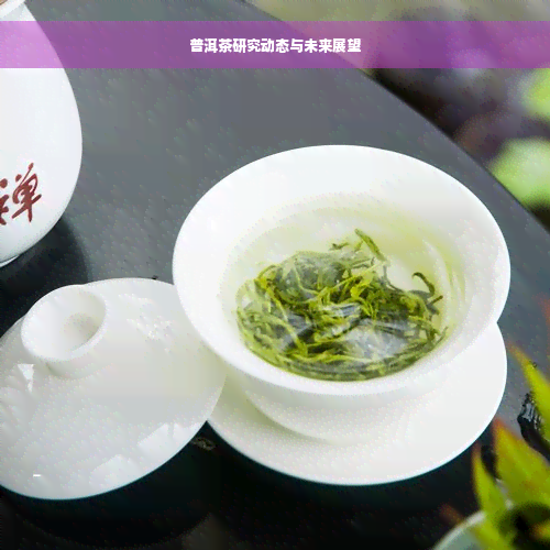 普洱茶研究动态与未来展望