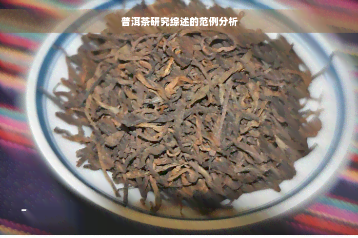 普洱茶研究综述的范例分析