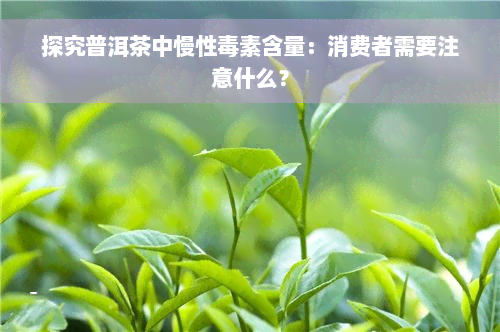 探究普洱茶中慢性毒素含量：消费者需要注意什么？