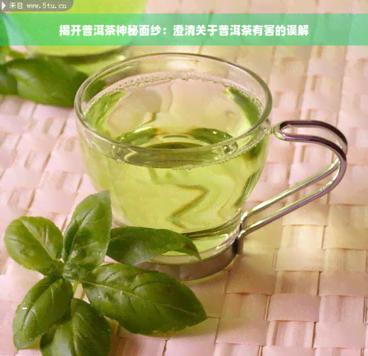 揭开普洱茶神秘面纱：澄清关于普洱茶有害的误解