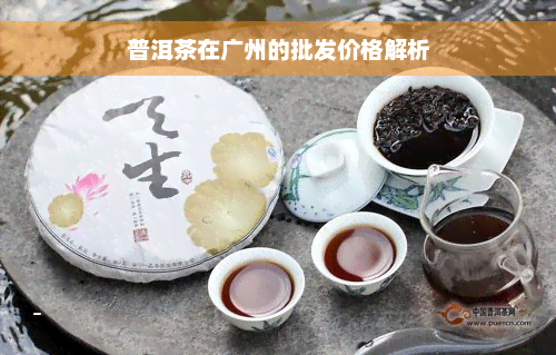 普洱茶在广州的批发价格解析