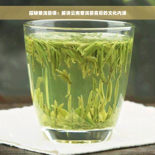 探秘普洱茶语：解读云南普洱茶背后的文化内涵