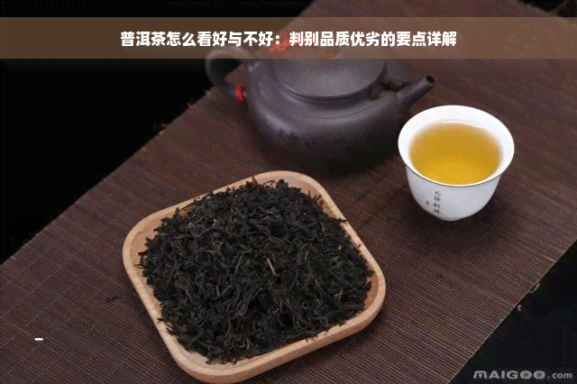 普洱茶怎么看好与不好：判别品质优劣的要点详解