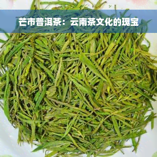 芒市普洱茶：云南茶文化的瑰宝