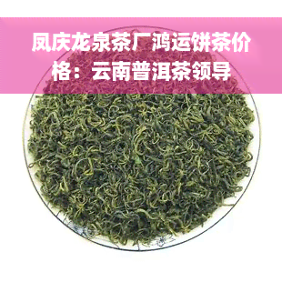 凤庆龙泉茶厂鸿运饼茶价格：云南普洱茶领导