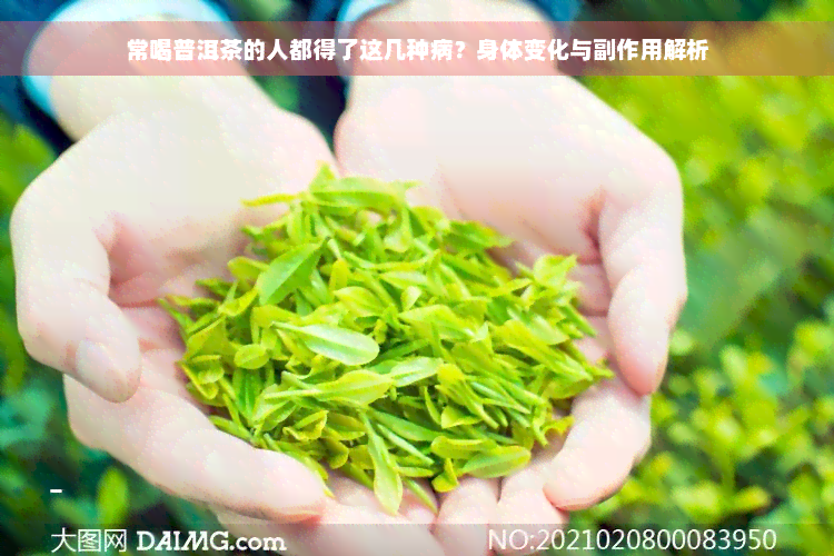 常喝普洱茶的人都得了这几种病？身体变化与副作用解析